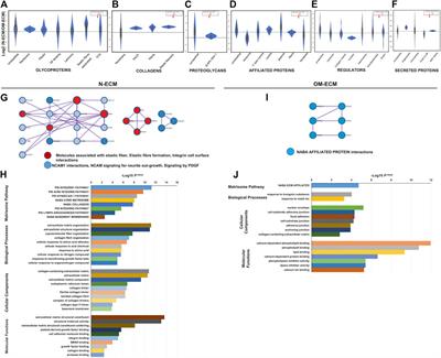 Extracellular Matrix Derived From Dental Pulp Stem Cells Promotes Mineralization